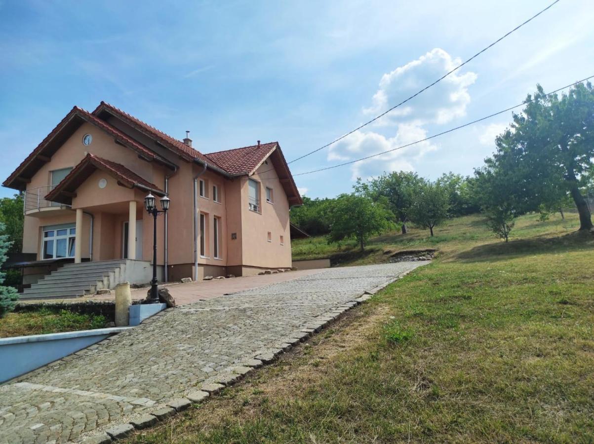 Casa Panoramic Villa Турда Екстериор снимка